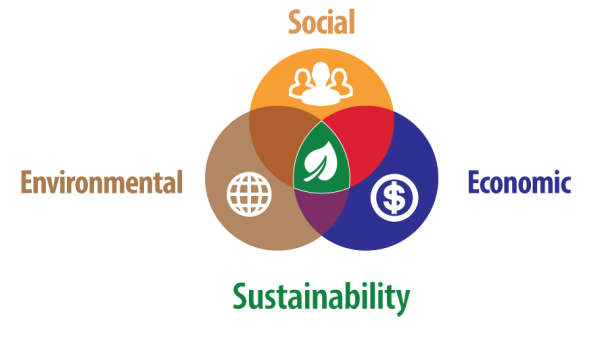 What makes a sustainable organization over the course of human history?